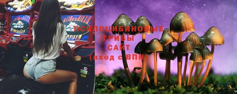 Псилоцибиновые грибы Magic Shrooms  Бийск 